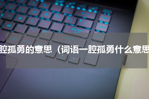 一腔孤勇的意思（词语一腔孤勇什么意思）