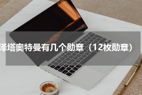 泽塔奥特曼有几个勋章（12枚勋章）