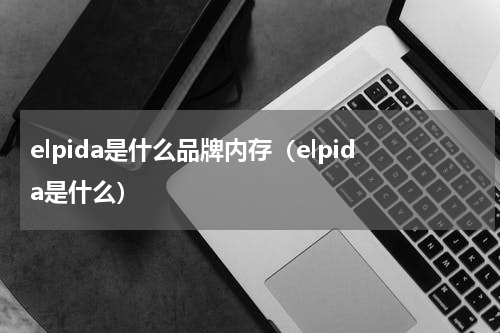 elpida是什么品牌内存（elpida是什么）