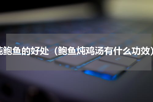 炖鲍鱼的好处（鲍鱼炖鸡汤有什么功效）