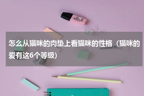 怎么从猫咪的肉垫上看猫咪的性格（猫咪的爱有这6个等级）