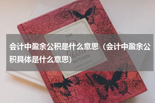 会计中盈余公积是什么意思（会计中盈余公积具体是什么意思）