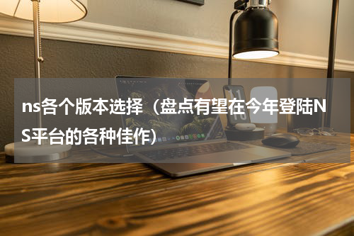 ns各个版本选择（盘点有望在今年登陆NS平台的各种佳作）