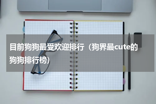 目前狗狗最受欢迎排行（狗界最cute的狗狗排行榜）