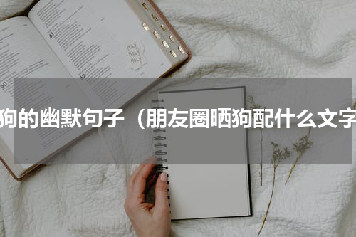 养狗的幽默句子（朋友圈晒狗配什么文字）