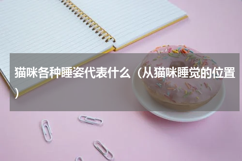 猫咪各种睡姿代表什么（从猫咪睡觉的位置）