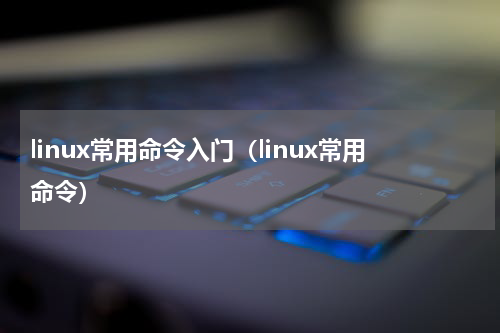 linux常用命令入门（linux常用命令）