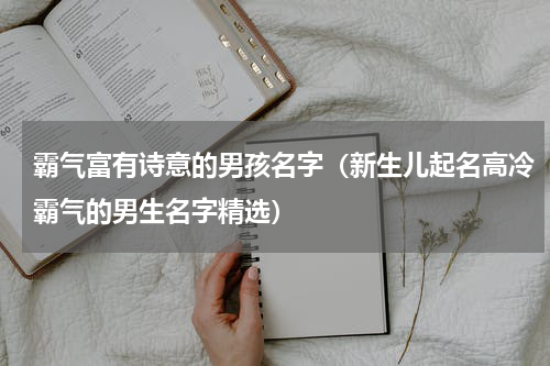 霸气富有诗意的男孩名字（新生儿起名高冷霸气的男生名字精选）
