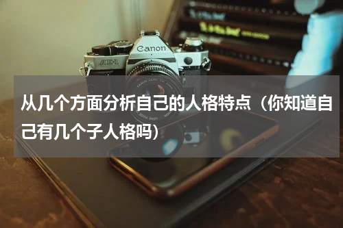 从几个方面分析自己的人格特点（你知道自己有几个子人格吗）