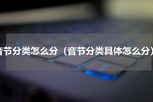 音节分类怎么分（音节分类具体怎么分）