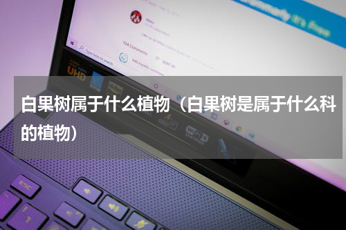 白果树属于什么植物（白果树是属于什么科的植物）