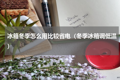 冰箱冬季怎么用比较省电（冬季冰箱调低温）