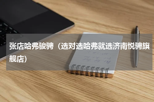 张店哈弗骏骋（选对选哈弗就选济南悦骋旗舰店）