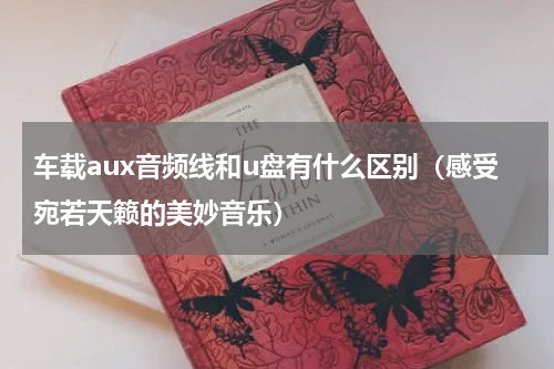 车载aux音频线和u盘有什么区别（感受宛若天籁的美妙音乐）