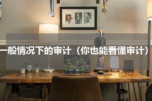 一般情况下的审计（你也能看懂审计）