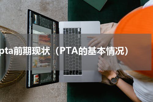 pta前期现状（PTA的基本情况）