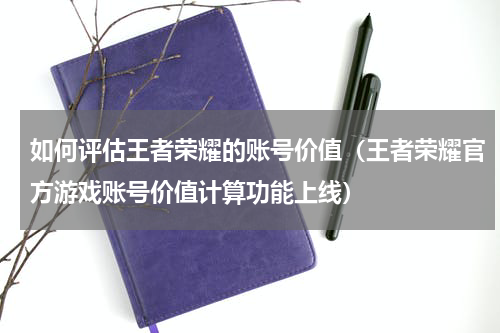 如何评估王者荣耀的账号价值（王者荣耀官方游戏账号价值计算功能上线）