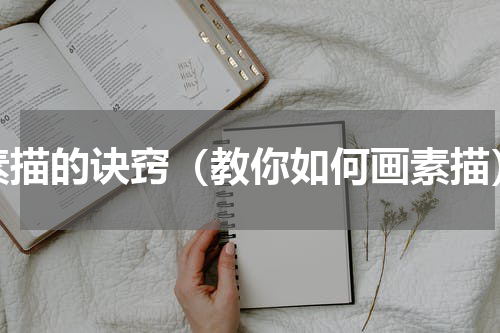 素描的诀窍（教你如何画素描）