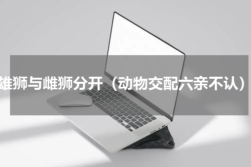 雄狮与雌狮分开（动物交配六亲不认）