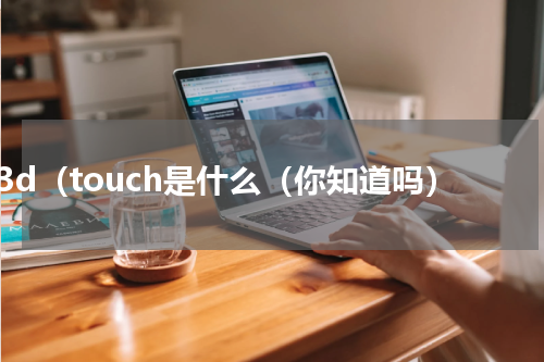 3d（touch是什么（你知道吗）