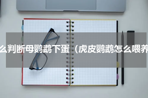 怎么判断母鹦鹉下蛋（虎皮鹦鹉怎么喂养）