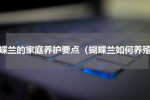 蝴蝶兰的家庭养护要点（蝴蝶兰如何养殖）