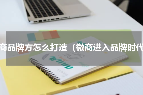 微商品牌方怎么打造（微商进入品牌时代）