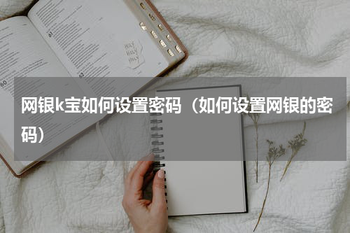 网银k宝如何设置密码（如何设置网银的密码）