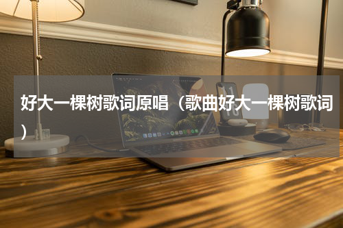 好大一棵树歌词原唱（歌曲好大一棵树歌词）