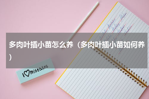 多肉叶插小苗怎么养（多肉叶插小苗如何养）