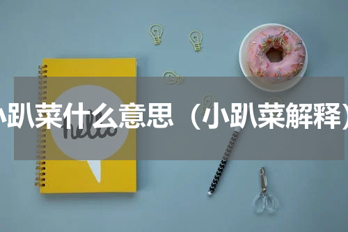 小趴菜什么意思（小趴菜解释）