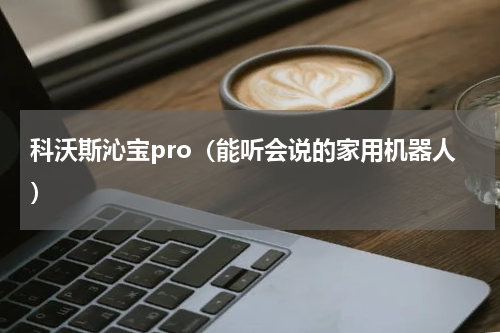 科沃斯沁宝pro（能听会说的家用机器人）