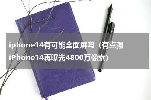 iphone14有可能全面屏吗（有点强iPhone14再曝光4800万像素）