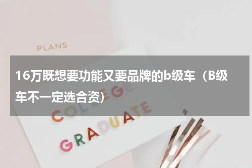 16万既想要功能又要品牌的b级车（B级车不一定选合资）