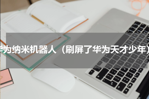 华为纳米机器人（刷屏了华为天才少年）