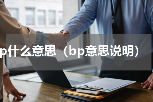 bp什么意思（bp意思说明）