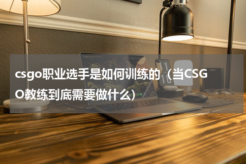 csgo职业选手是如何训练的（当CSGO教练到底需要做什么）