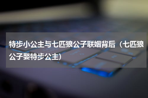 特步小公主与七匹狼公子联姻背后（七匹狼公子娶特步公主）