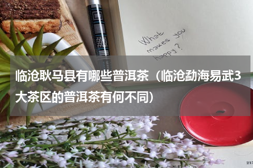 临沧耿马县有哪些普洱茶（临沧勐海易武3大茶区的普洱茶有何不同）