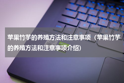 苹果竹芋的养殖方法和注意事项（苹果竹芋的养殖方法和注意事项介绍）