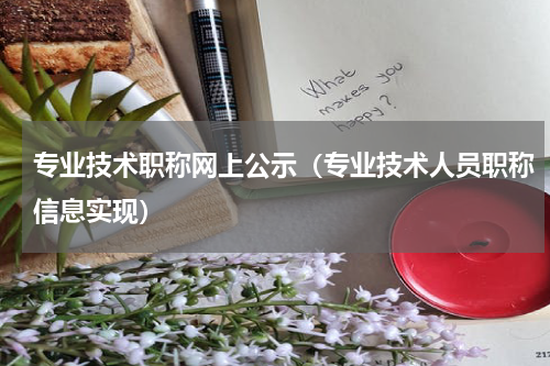 专业技术职称网上公示（专业技术人员职称信息实现）