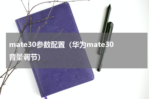 mate30参数配置（华为mate30音量调节）
