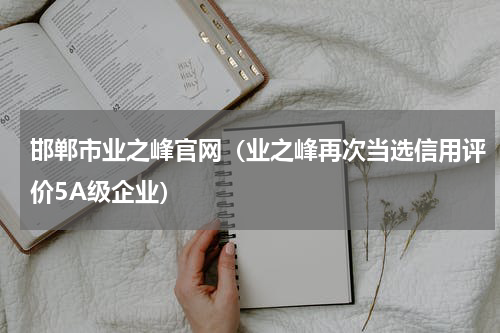 邯郸市业之峰官网（业之峰再次当选信用评价5A级企业）