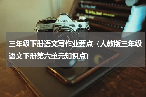 三年级下册语文写作业要点（人教版三年级语文下册第六单元知识点）