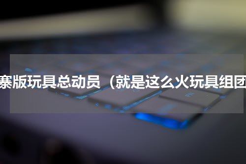 山寨版玩具总动员（就是这么火玩具组团）