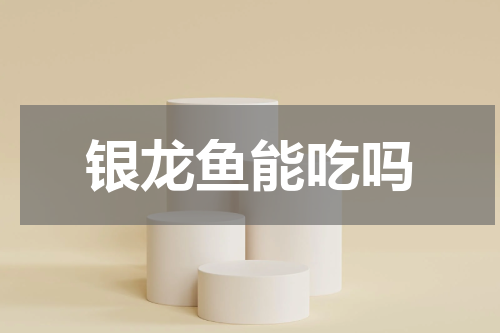 银龙鱼能吃吗
