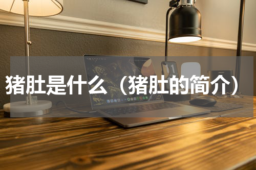 猪肚是什么（猪肚的简介）