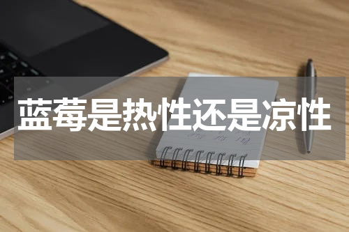 蓝莓是热性还是凉性