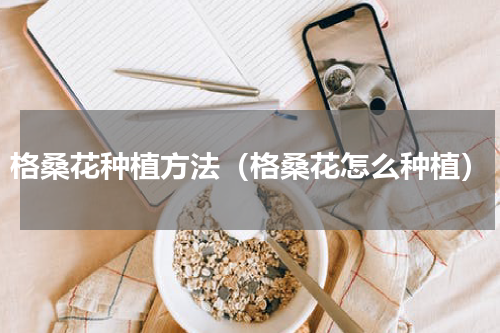 格桑花种植方法（格桑花怎么种植）