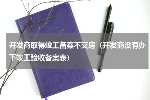 开发商取得竣工备案不交房（开发商没有办下竣工验收备案表）